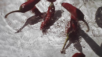 chilli splash 03